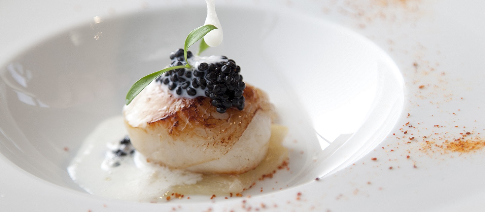 Scallop and Hazelnut Recipe from Dunbrody House
